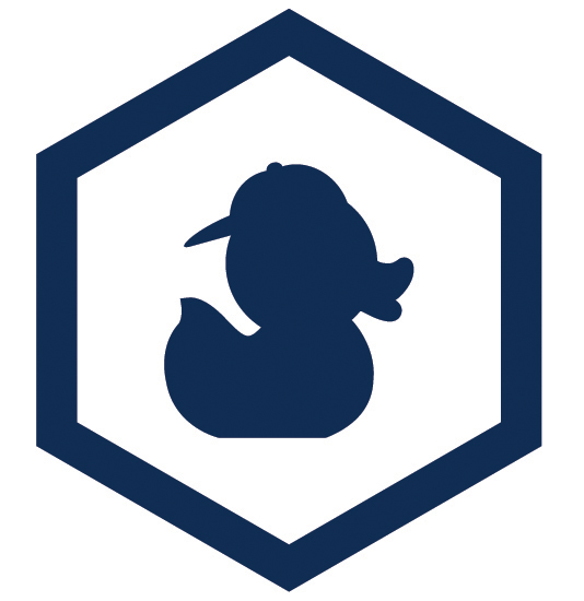 Blue Duck Brands Logo